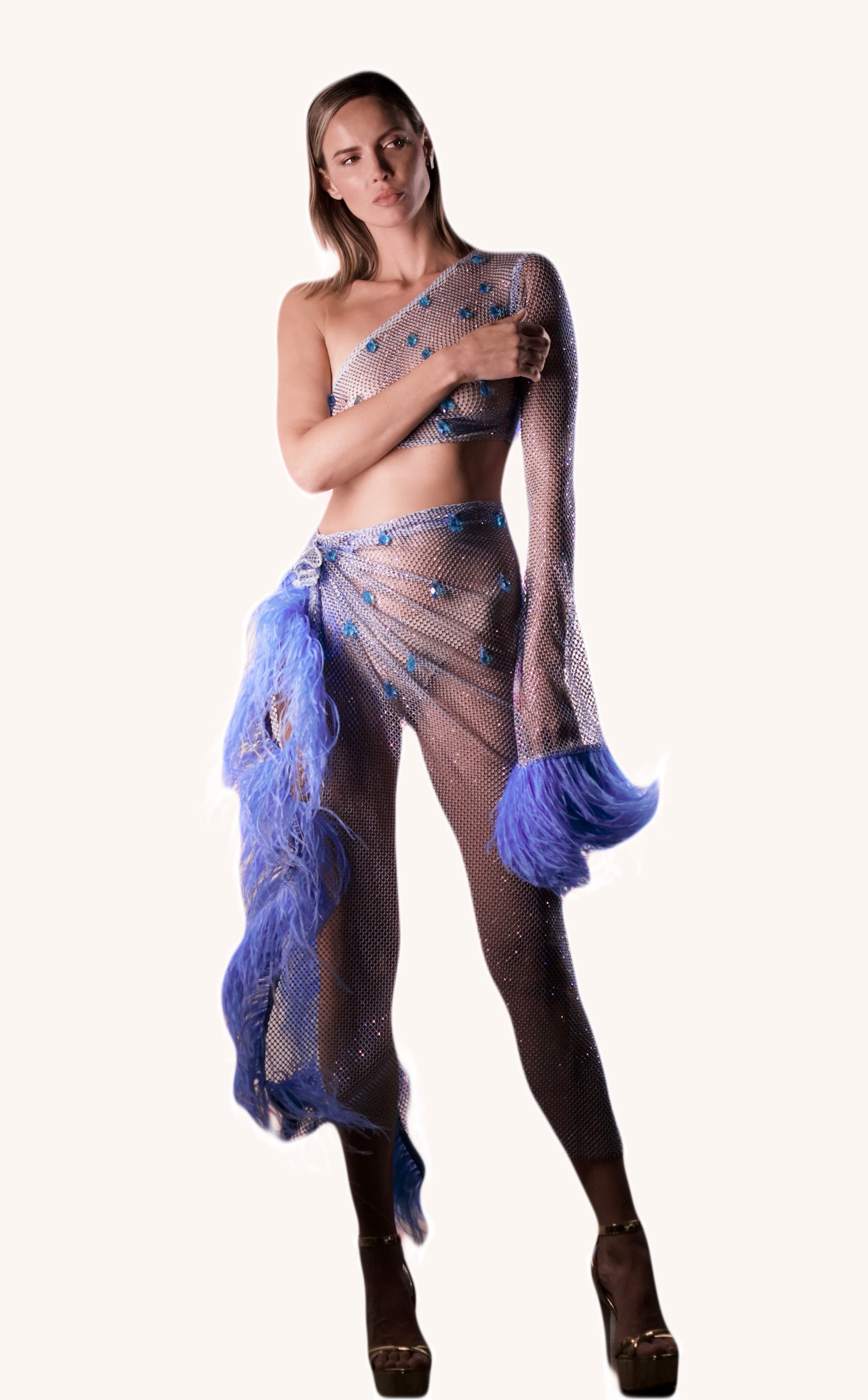 Crystal mesh and blue feathers